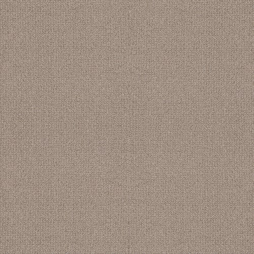 ABORY HILL in Perfect Taupe Carpet