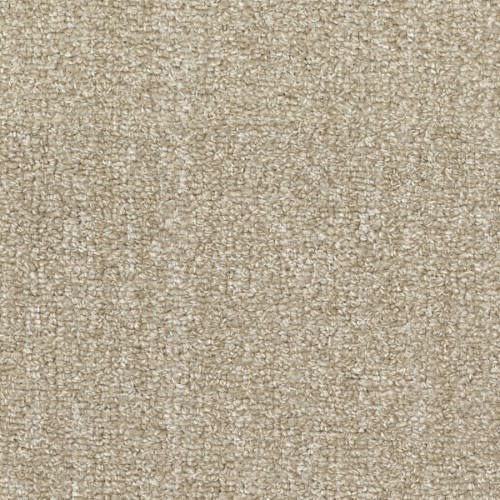 Tundra in Chaparral Carpet