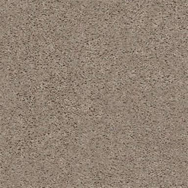 VENTURE SOLID in Warm Sand Carpet