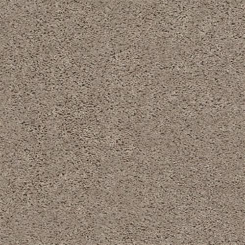 VENTURE SOLID in Warm Sand Carpet