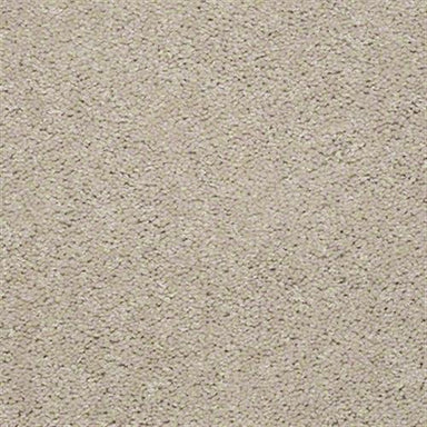 Critics Delight II 12' in Heavenly Carpet