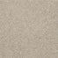 Critics Delight II 12' in Heavenly Carpet