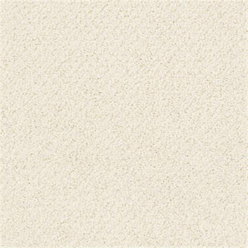 Ivory Lace