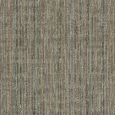 Sp968 in Astonish Carpet