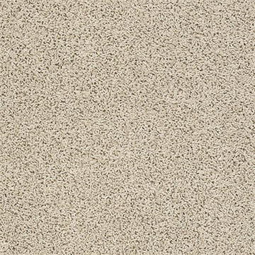 Brushed Ivory