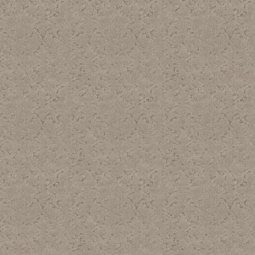 LIGHT IMPRESSIONS in Chic Greige Carpet