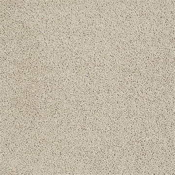 Chic Cream