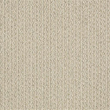 Chic Cream