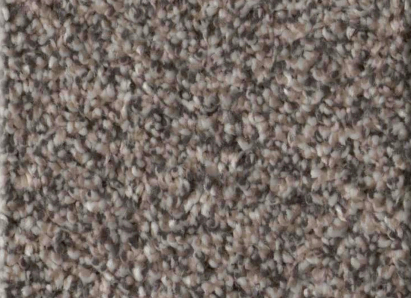 GRANDIOSE in Fossil Path Carpet