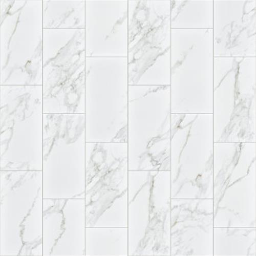 UNIVERSE 12X24 in White