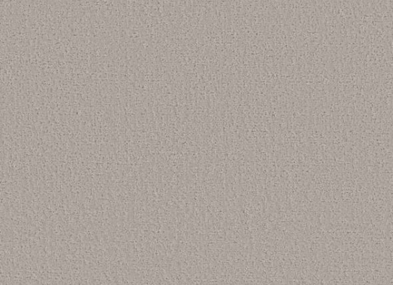 CANVAS COMFORT in Shoreline Haze Carpet