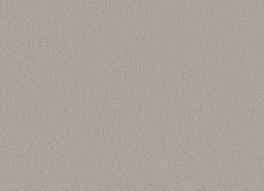 CANVAS COMFORT in Shoreline Haze Carpet