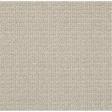 Studio Taupe