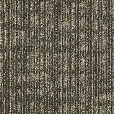 Sp403 in Barley Carpet
