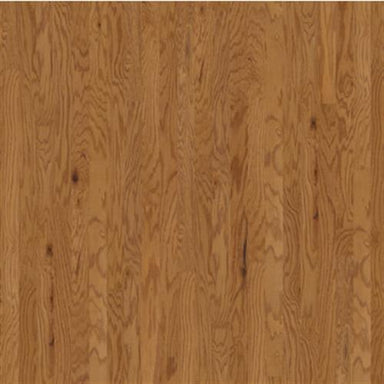 ANN ARBOR 3.25 in Caramel Hardwood
