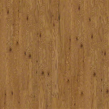 All In II 5 in Caramel Hardwood