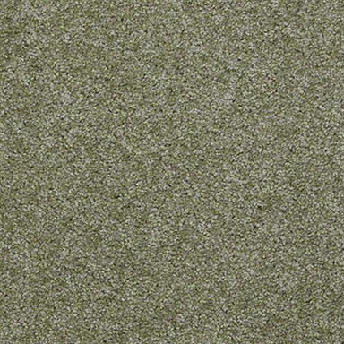 Jet Set in Spring Foliage Carpet