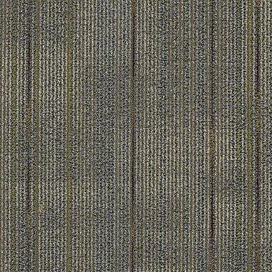 Sp668 in To Harmonize Carpet