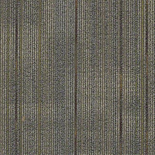 Sp668 in To Harmonize Carpet