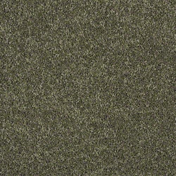 Bay Leaf