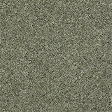Mission Statement II 15' in Cactus Carpet