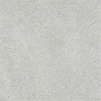 The Best in Bayswater Carpet