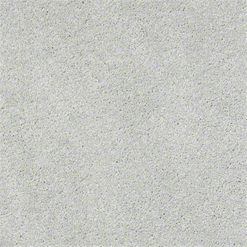 The Best in Bayswater Carpet