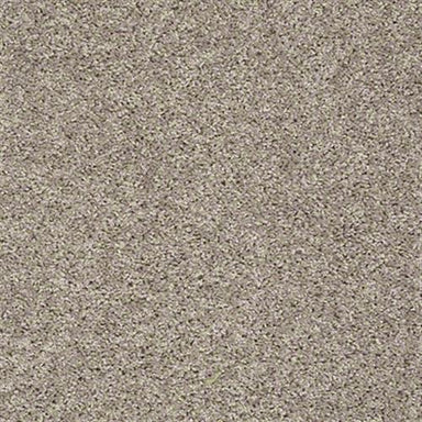 Px025 in Glimmer Carpet