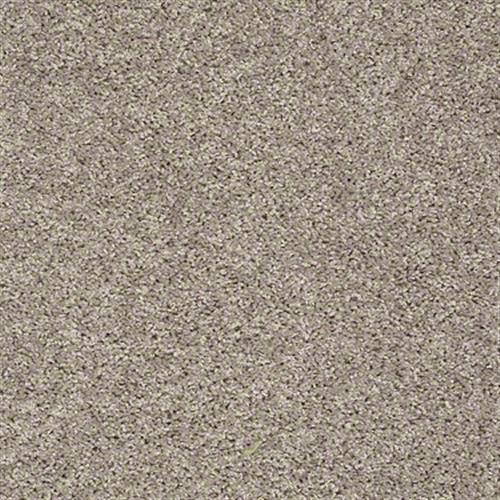 Px025 in Glimmer Carpet