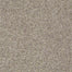 Px025 in Glimmer Carpet