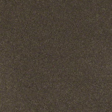 Bourbonnais Grey