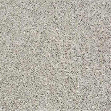 Cement