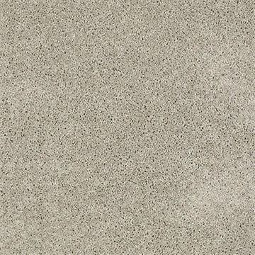 Gray Whisper