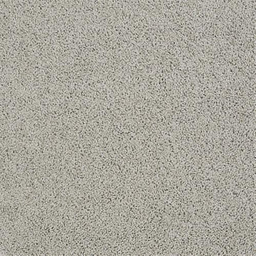 Gray Whisper