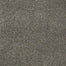 Havencrest in Tinsmith Carpet