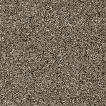 Simply Taupe