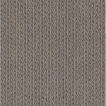 Simply Taupe
