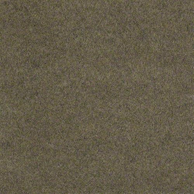Sp926 in Peat Carpet