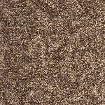 Spice Bark