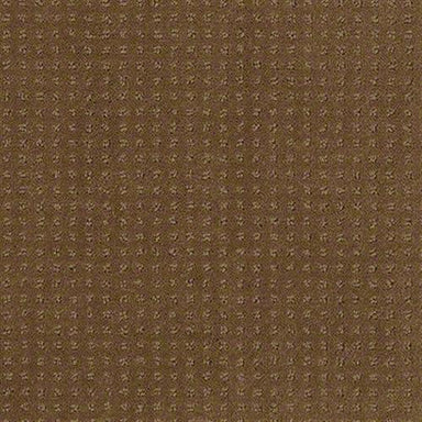 Colorful Fun in Pebble Creek Carpet