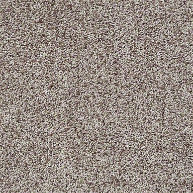 Colonial Park in Toast Carpet