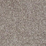 Colonial Park in Toast Carpet