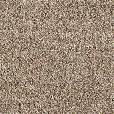 Sp404 in Encourage Carpet