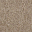 Sp404 in Encourage Carpet