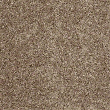 Ellendale 12' in Eagles Nest Carpet