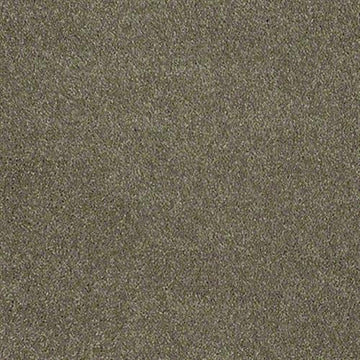 Bark