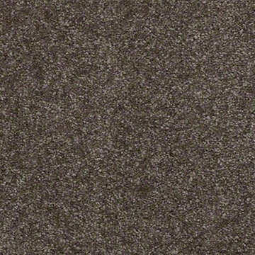Kodiak Brown