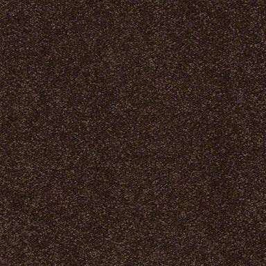 Truly Modern I 15' in Coffee Bean Carpet