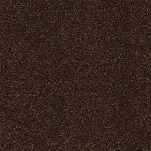 Truly Modern I 15' in Coffee Bean Carpet