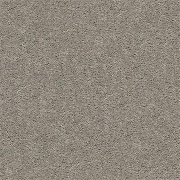 Perfect Taupe